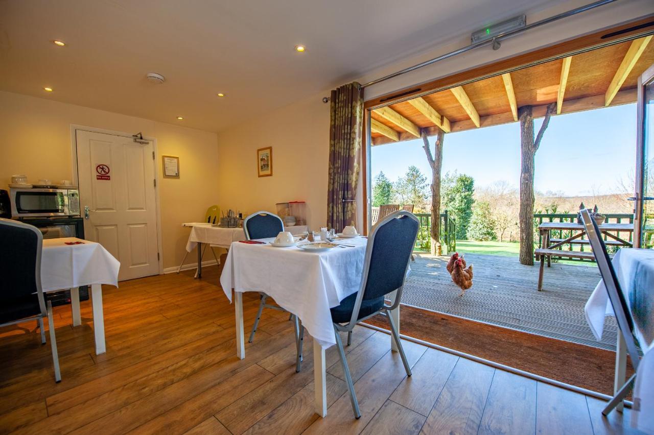 Oakside Lodge Guest House Canterbury Luaran gambar